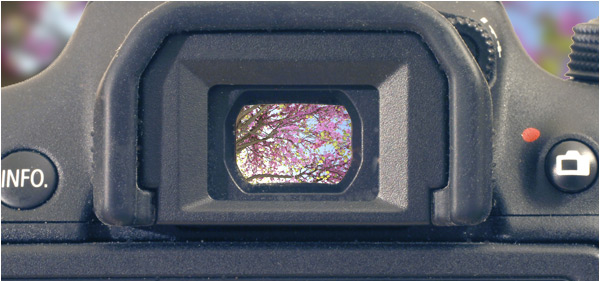raysunphoto raysunphoto gallery photo courses