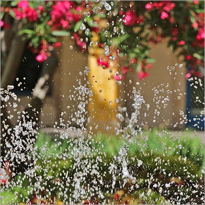 drops Photo Workshop in Provence Raysunphoto with Raymond Martinez