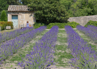 Les jardins de Saint Paul stage photo en Provence Raysunphoto