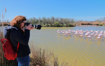 Phototourisme images en Camargue